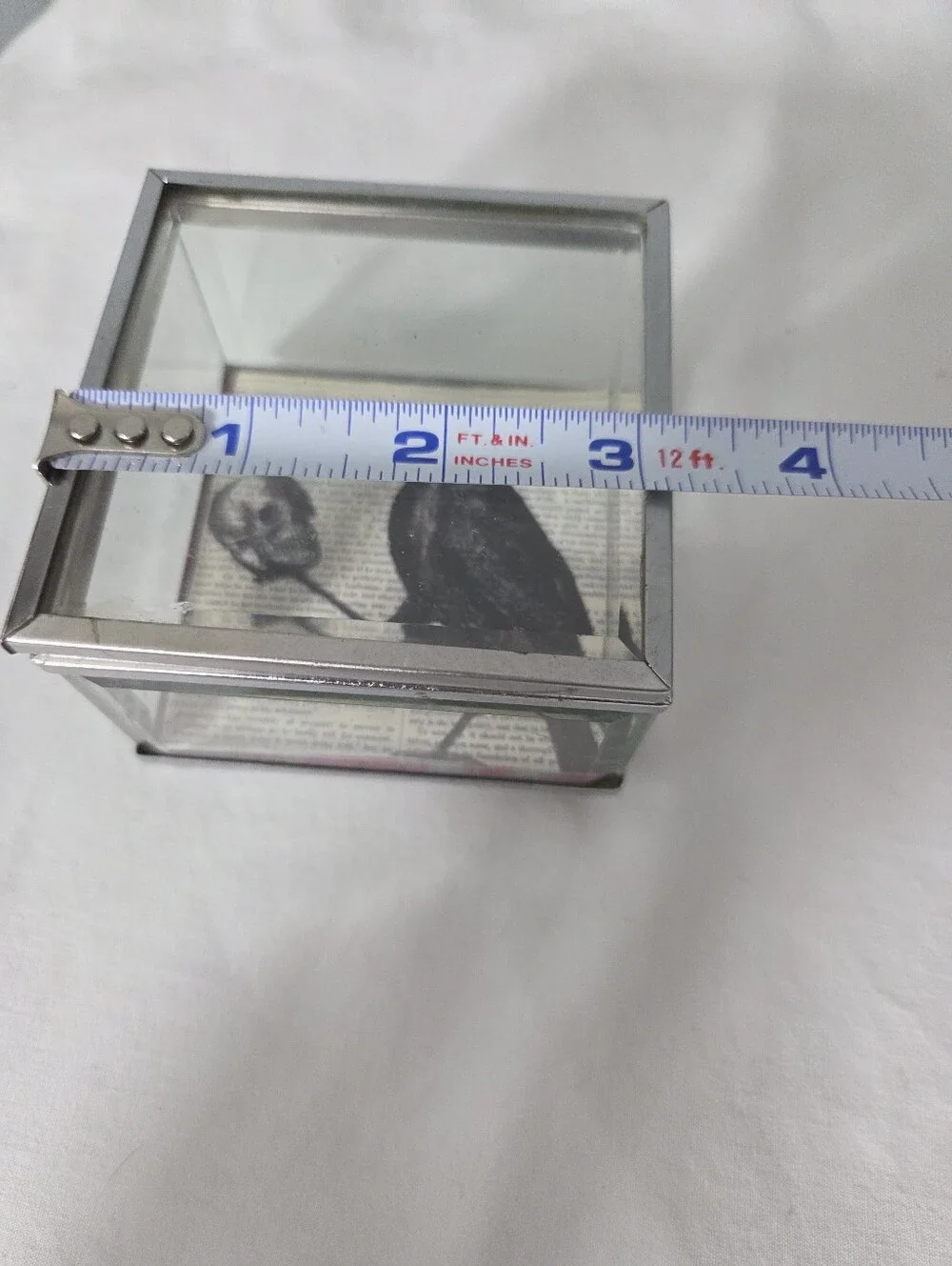 Decorative glass and metal keepsake box gothic-style a Rave and a human skull